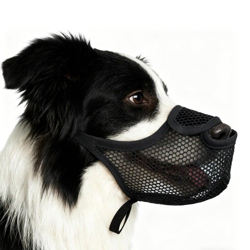 Muselière pour chien - chien, de