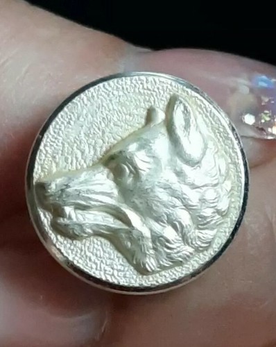 M02 tête loup - de, blanc