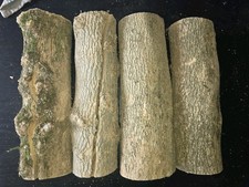 Pour tournage,  rondins buis