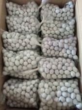 Sac De 100 Oeufs Faux En