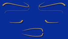 KAWASAKI Z 650 C3 - Stickers decals carrosserie - Z650C3 - Z650 - Gold emblem