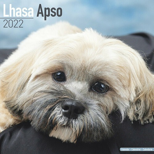 Calendrier 2022 lhassa - 2022,