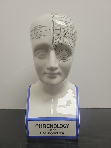 Phrenology head ceramic - head, 12"