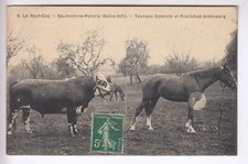 CPA SAUMONT LA POTERIE 76 -