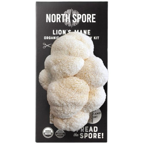 Organic lion mane mushroom - lion's,
