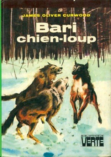 Bari chien loup - chien-loup, oliver