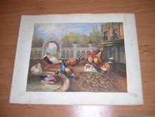 1860.lithographie couleurs