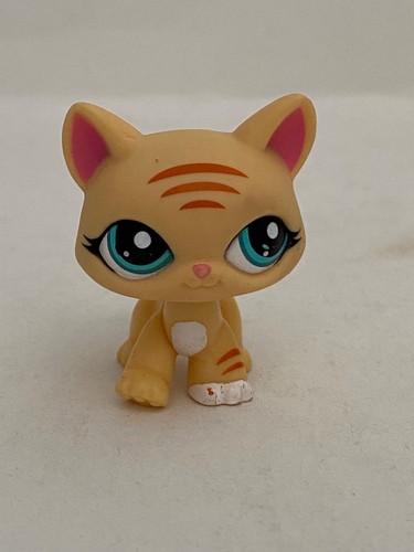Petshop chat main coon - petshop,