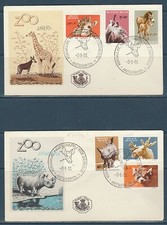 Etb/  enveloppe Belgique  faune nature animaux du zoo d' Anvers  1961