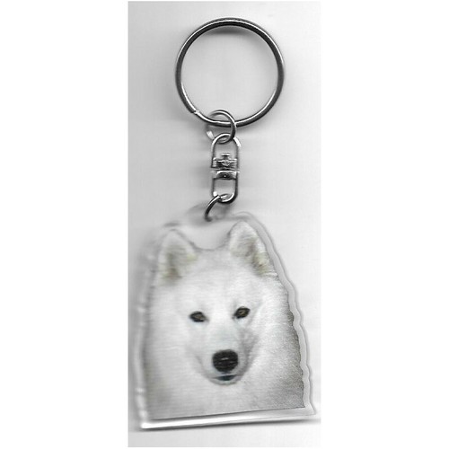 Samoyede chien porte - samoyede,