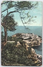 Vintage Monaco Scenic View Postcard A Travers les Oliviers 32