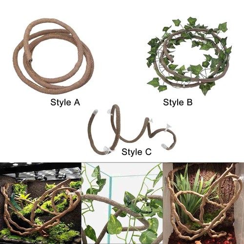 Vignes reptiles pour - vignes, de