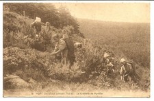 MONT-SAINT-ODILE (67)- La Cueillette de Myrtilles -Not posted.