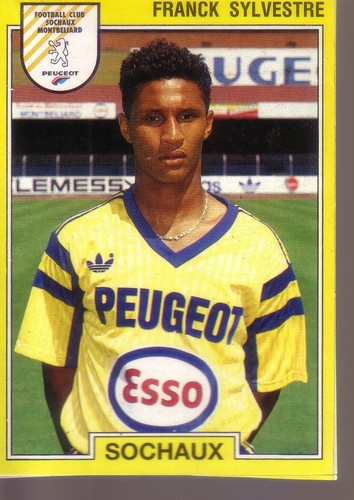 Franck sylvestre panini - franck,