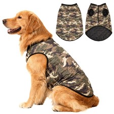 Manteau Chien Imperméable