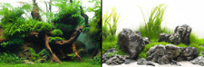 poster fond aquarium reversible 150 X 45 CM  green/amazonia
