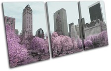 Central Park New York Vintage City TREBLE TOILE murale ART Photo Print