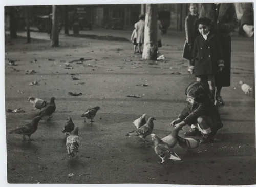 Enfant les pigeons - l'enfant, pigeons,