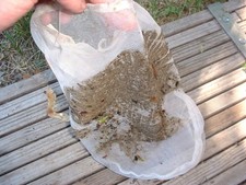 SKIMMER BASKET FILTER NETS for a cleaner pool