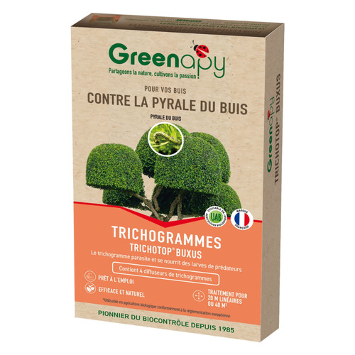 Trichogrammes anti pyrale - , de