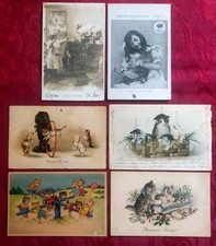 6 CPA 1904 - 1906 : Chats