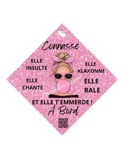 Plaque Ventouse Voiture