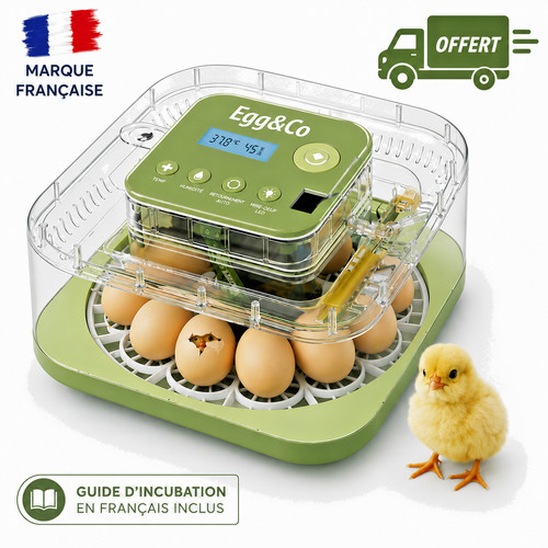 Egg couveuse incubateur - egg&co,