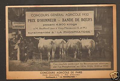 Vincy manoeuvre bovins de - vincy-manoeuvre, (77)