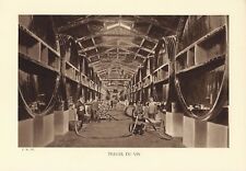 Heliogravure WINEWORK (EASTERN PYRENEES) old craft