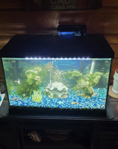 Aquarium gallon - 20,