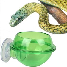 Plat D'eau Pour Reptiles Bol