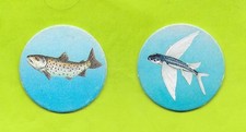 Pog - La trout - Saupiquet - Cousteau junior - No. 10