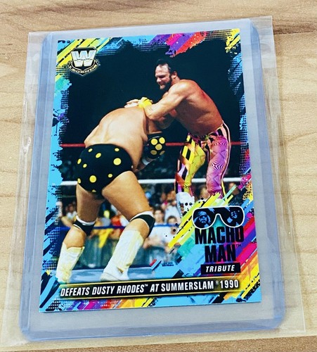 Randy savage dusty rhodes 2018 - rhodes,