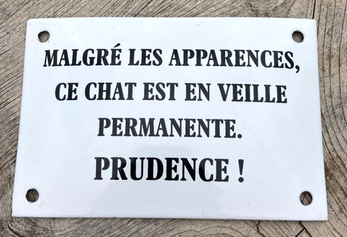Malgré les apparences - les, chat