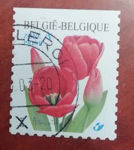Timbre belgique belgie tulipe - belgie,