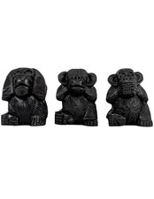 Les 3 singes "secret du