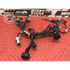 Faisceau électrique