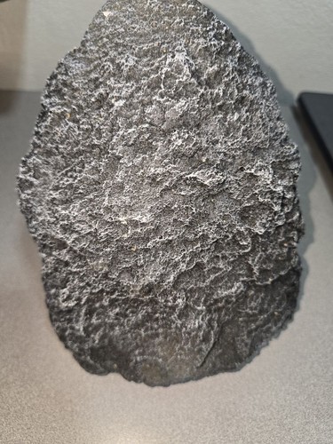 Large resin rock reptile - large,