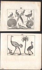 1833 Deux gravures originales