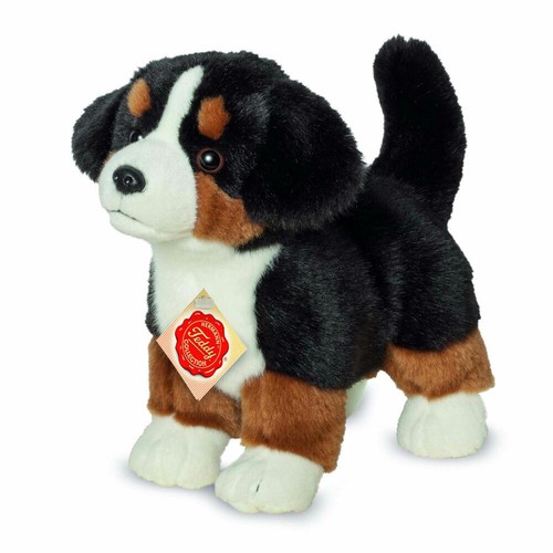 Teddy hermann chiot bouvier - hermann,