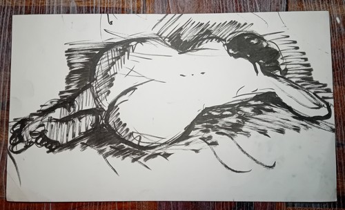 Magnifique dessin - magnifique,