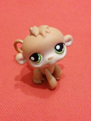 Littlest petshop lps furet - , :