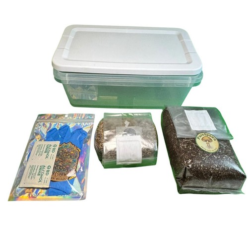 Complete dubtub starter - dubtub,