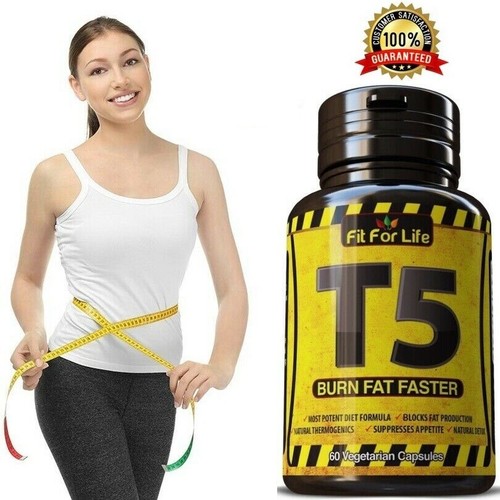 Weight loss metabolism fat - loss,