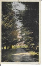 FRANCE POSTCARD UNCIRCULATED MARIGNE SARTHE FOREST HOUSE