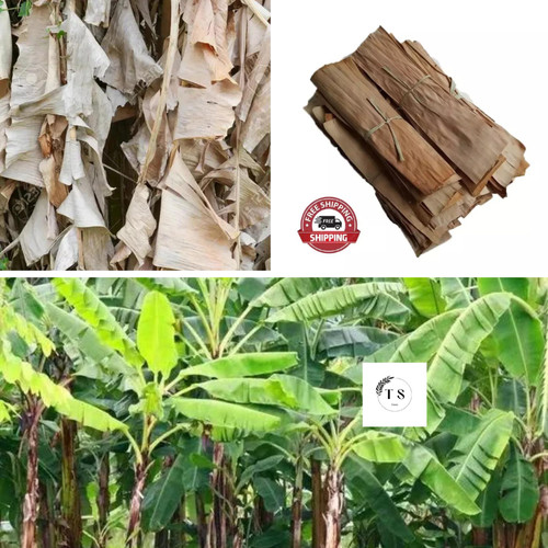 Dried natural banana leaves - natural,