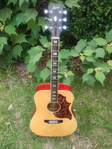 Guitare électrique acoustique