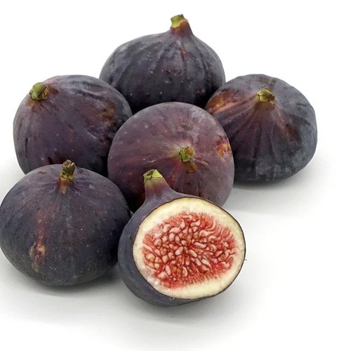 Ficus carica ronde de - ficus,