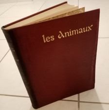 Histoire naturelle illustrée