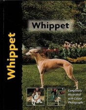 Whippet (Pet love), Juliette